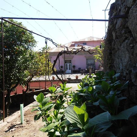 Casa Dos Varais, Manor House Ламего Екстериор снимка