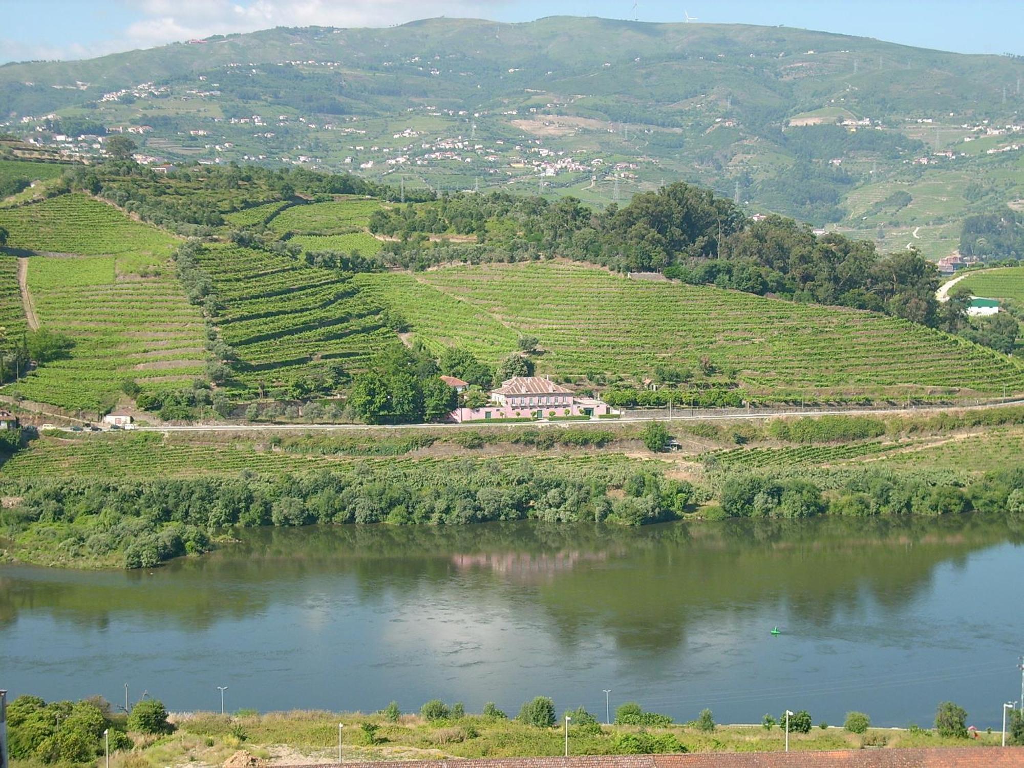 Casa Dos Varais, Manor House Ламего Екстериор снимка