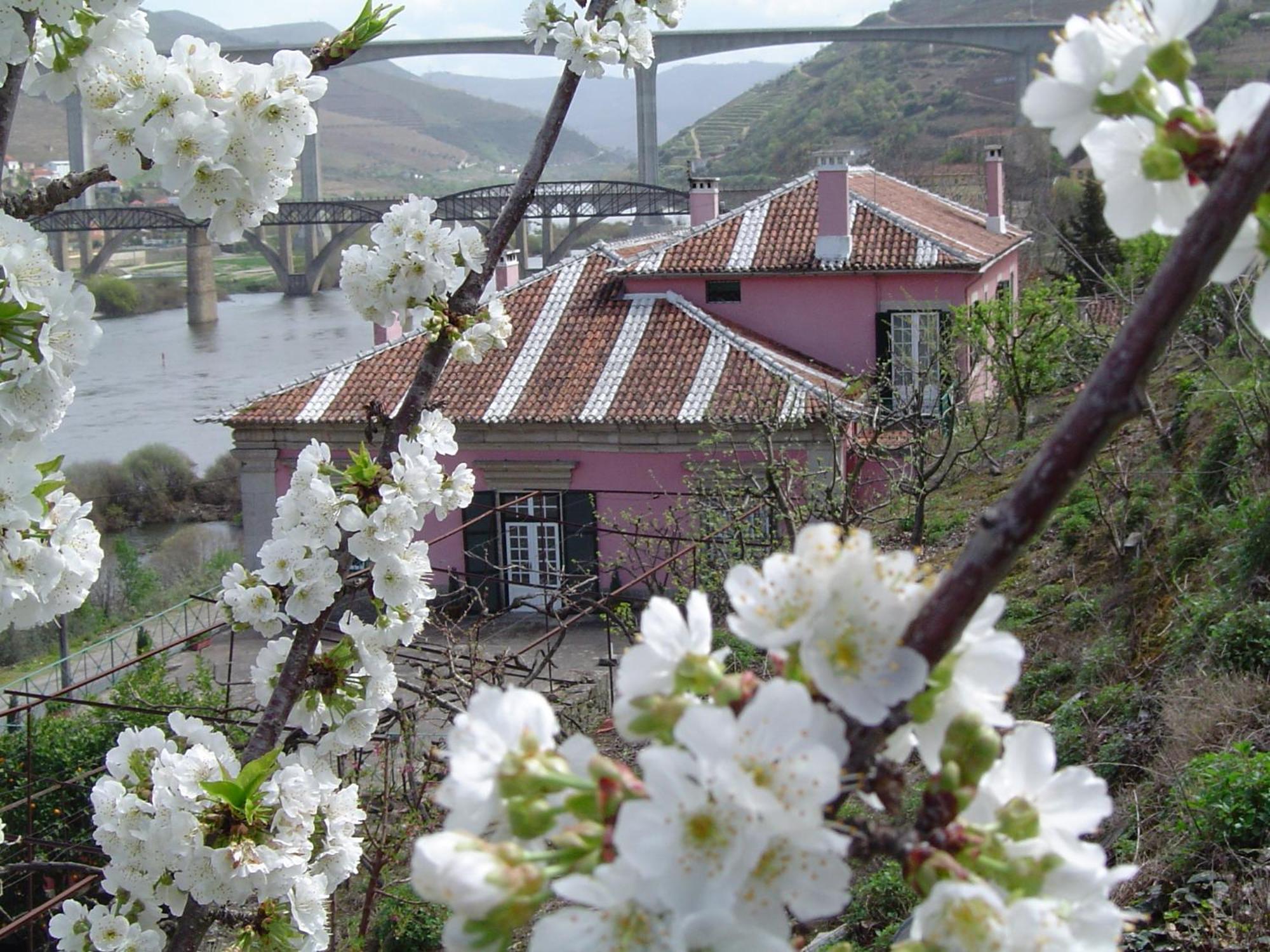 Casa Dos Varais, Manor House Ламего Екстериор снимка