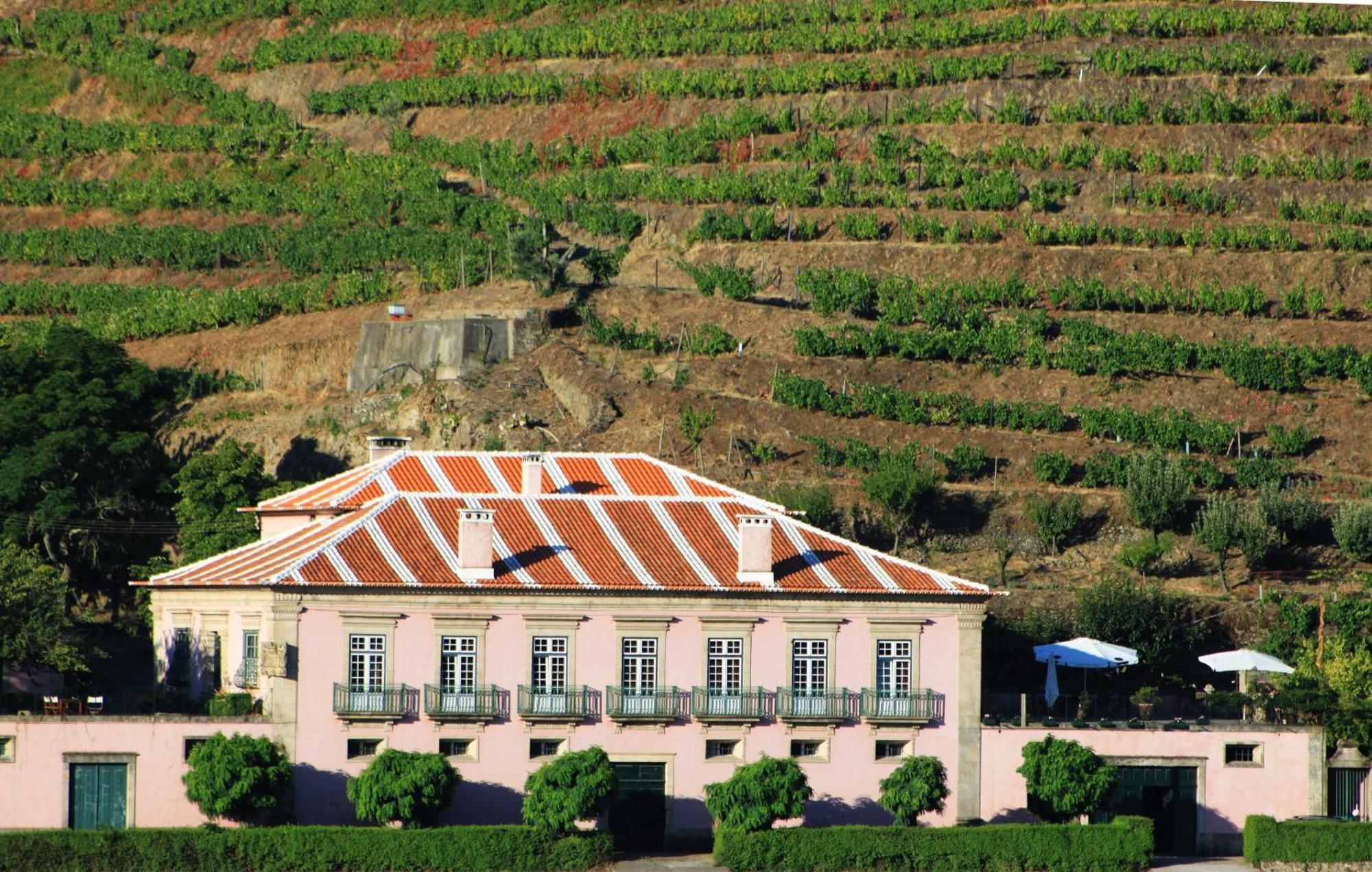 Casa Dos Varais, Manor House Ламего Екстериор снимка