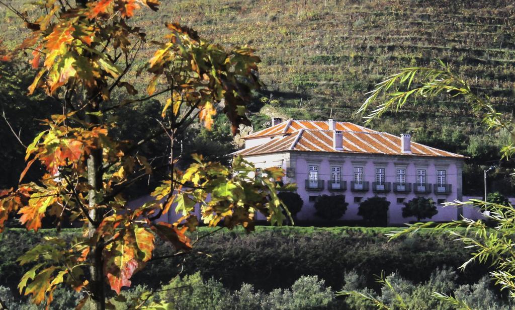 Casa Dos Varais, Manor House Ламего Екстериор снимка
